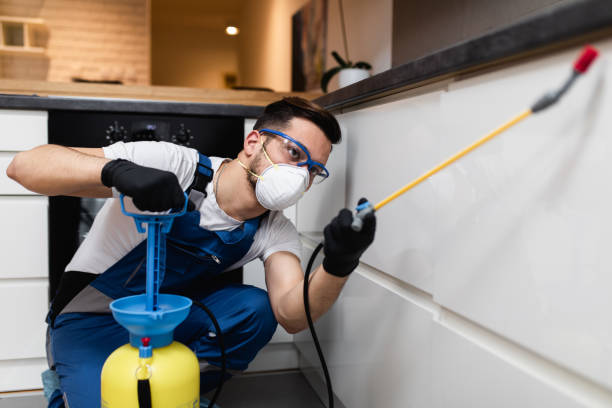 Best Affordable Pest Control Services  in Jefferson Hills, PA