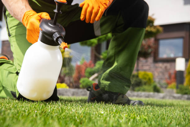 Best Mosquito Control Services  in Jefferson Hills, PA