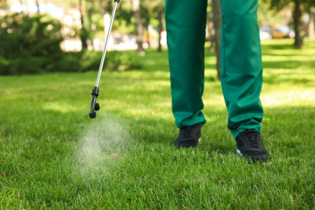 Best Mosquito Control Services  in Jefferson Hills, PA