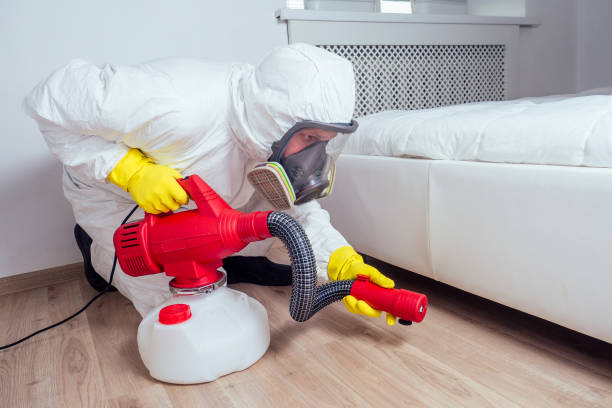 Trusted Jefferson Hills, PA Pest Control Experts